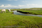 Sylt in Farbe